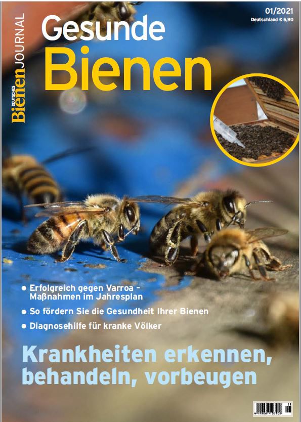 Odoo-Bild- und -Textbaustein