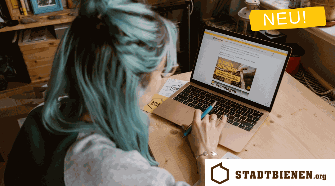 Odoo Text- und -Bildbaustein