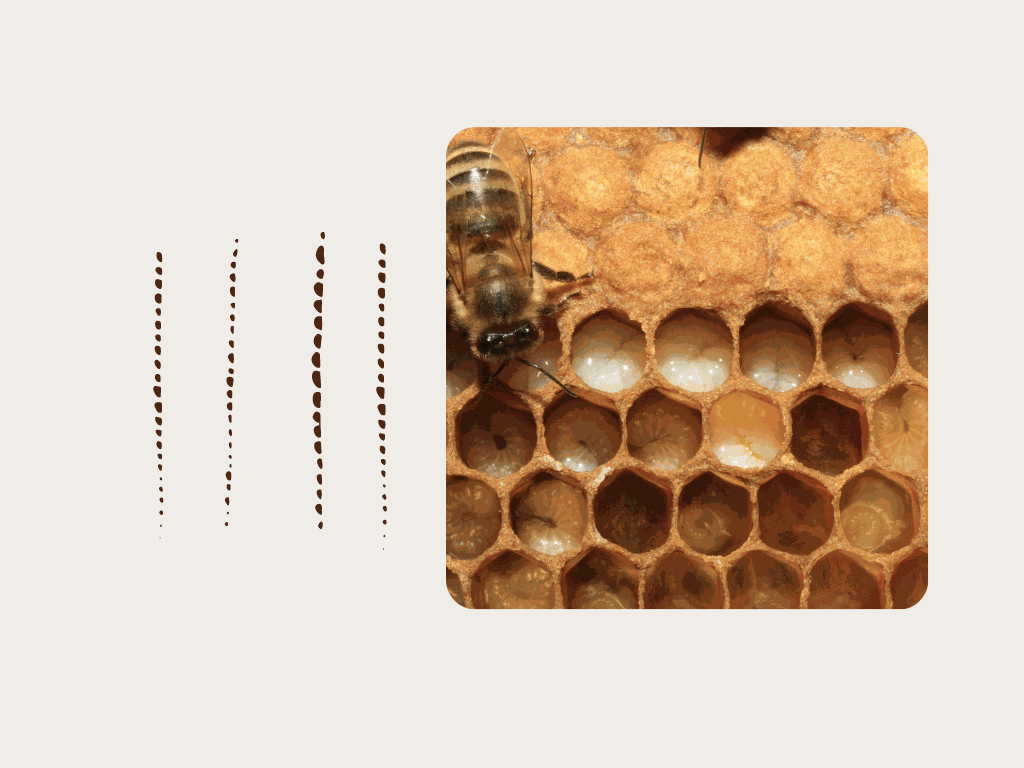 Odoo-Bild für Slider