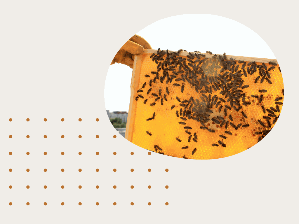 Odoo-Bild für Slider