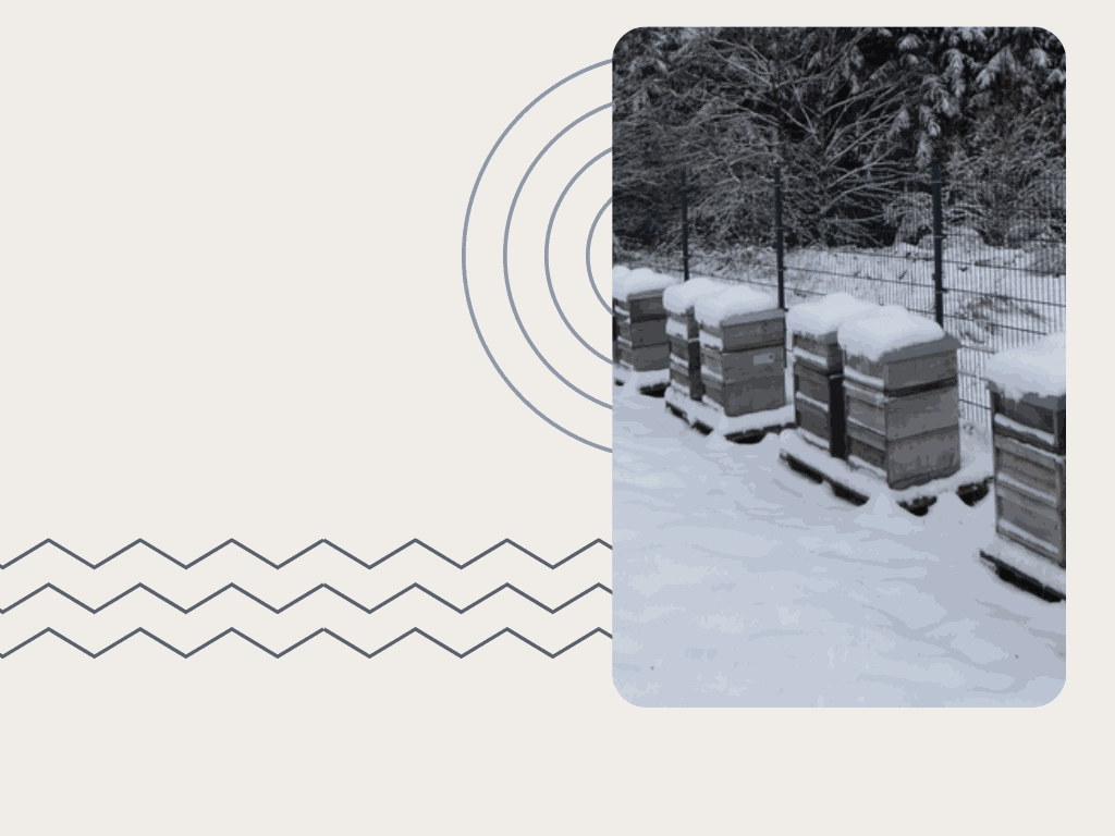 Odoo-Bild für Slider