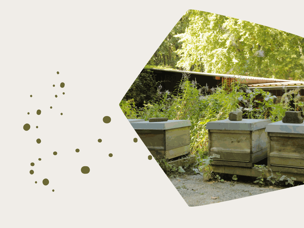 Odoo-Bild für Slider